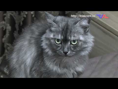 «Күн» ақпараттық бағдарлама 16 қаңтар 2024ж.