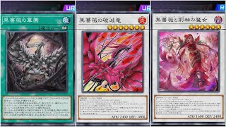 デュエルトライアングル(ブラックローズ)遊戯王マスターデュエルプレイ動画