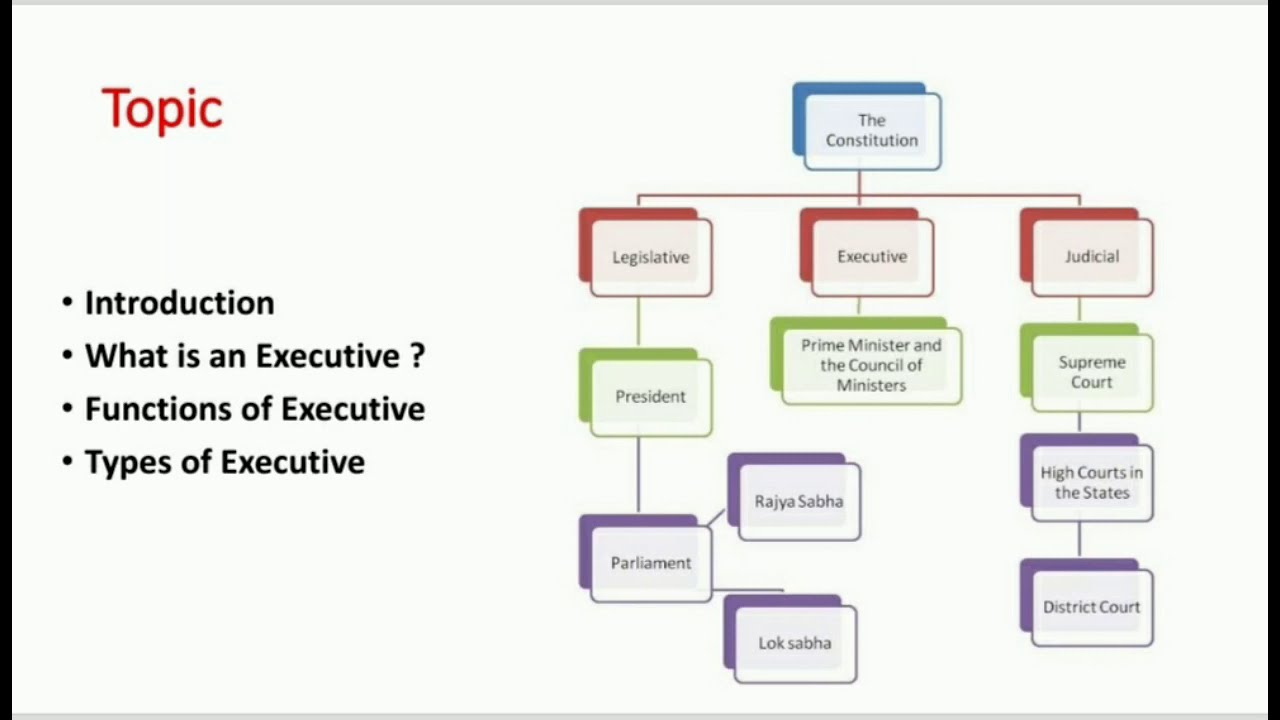 class XI political science,   chapter 4 Executive (part 1) Book : Indian Constitution at work