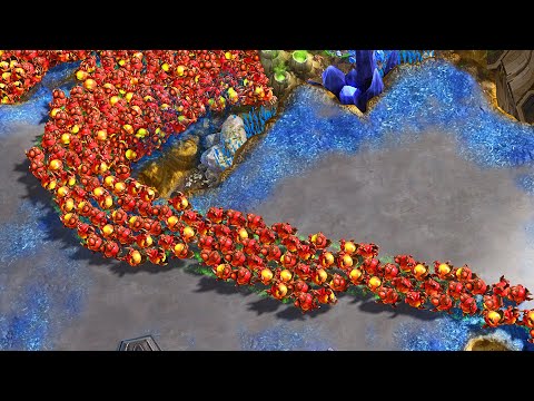 Dark's new strategy BREAKS Terran! StarCraft 2