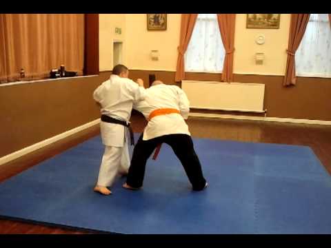 Passai Bunkai Oyho