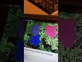 Sesame Street Warhol Flowers Number 4