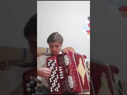 Chromatic Button Accordion - Accordiana (By Excelsior) image 10
