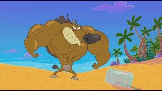 Zig & Sharko - New compilation 2016 #SpaceFruits _ HD