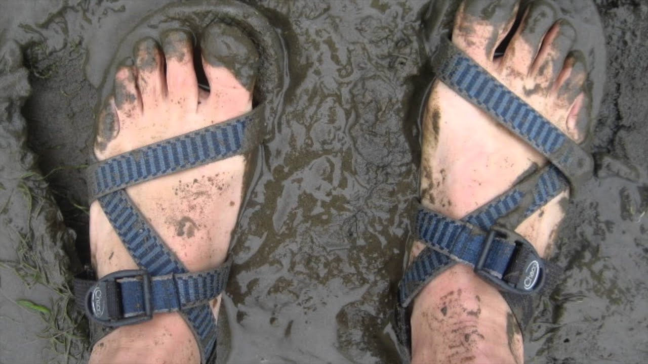 Mud Puddles: What To Do?