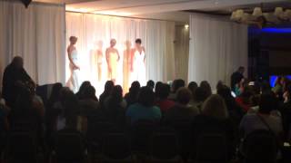 preview picture of video 'Windy City Wedding Show, Double Tree Mundelein'