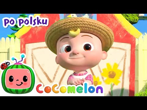 Pan MacDonald | CoComelon po polsku 🍉🎶 Piosenki dla dzieci