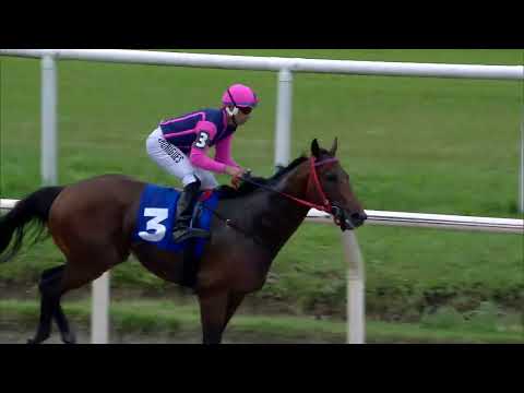 221113 c03 FATTO D´AMORE (BRZ)