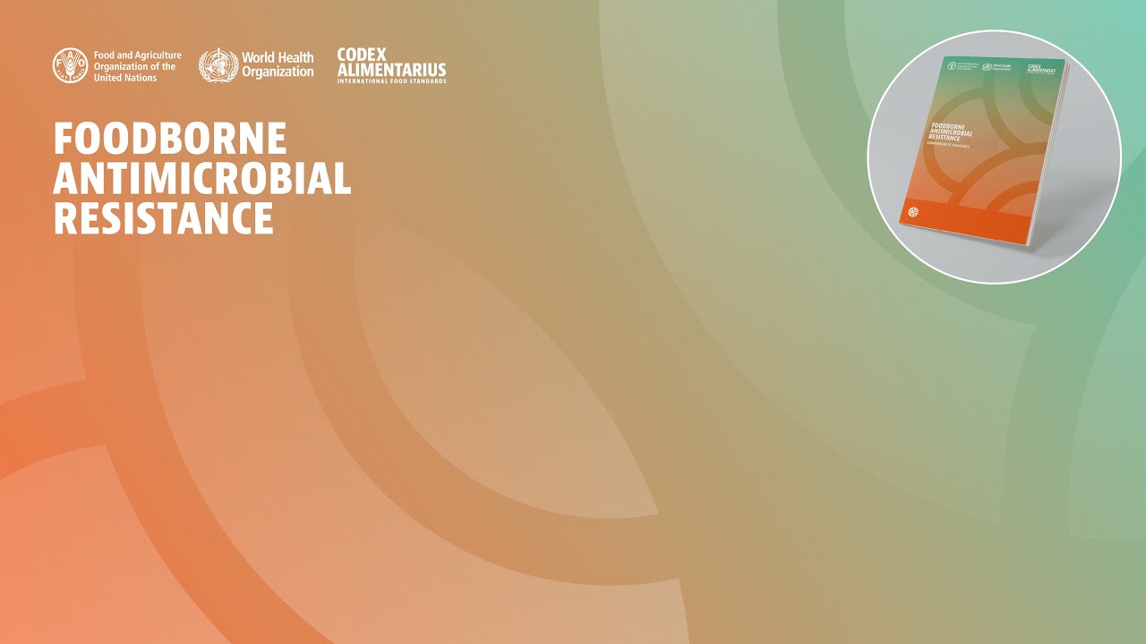 Webinar – ACT project launch: Codex standards and AMR