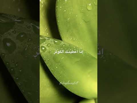 Surah Al kawthar beautiful recitation #quran #islam #allah #islamic #nature #youtubeshorts #shorts