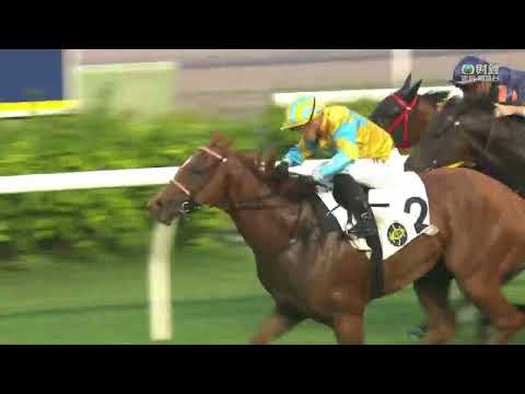 2022/23 (028) - Mr Ascendency (一先生) - 蘇兆輝