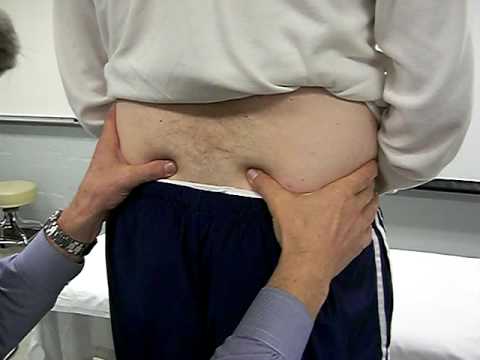 Stork/Flamingo/Gillet's Test (SI)