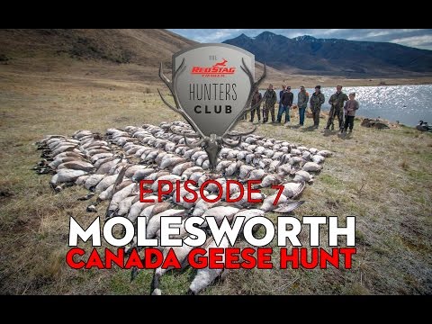 Red Stag Timber Hunters Club - EP 6 Molesworth Canada Geese Hunt Intro