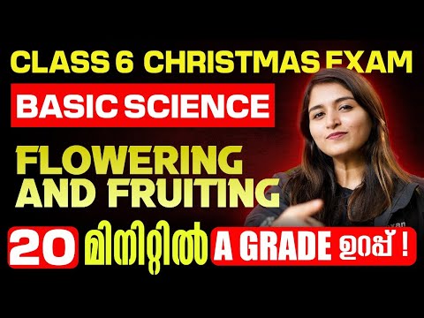 Class 6 Basic Science Christmas Exam | Flowering and Fruiting | A Grade in 15 Min | Exam Winner