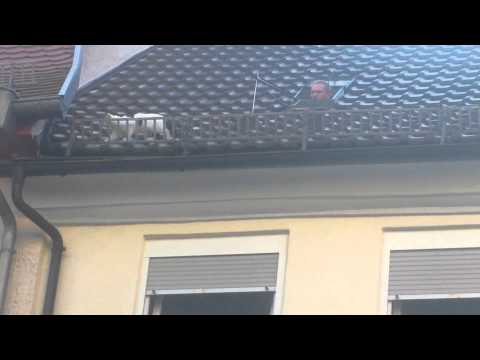 Polizei versucht Katze zu angeln