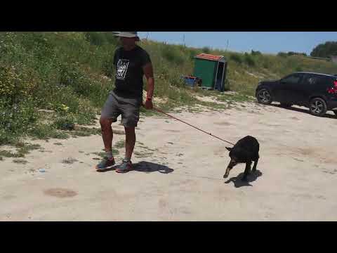 Vídeo de MARFY