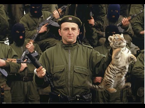 Arkan's Tigers: The Story of Željko Ražnatović Arkan