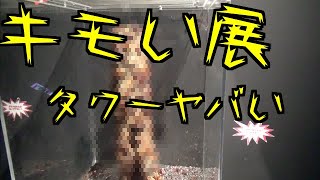 恐怖のキモい展が帰って来た！OOOOタワーがヤバい。