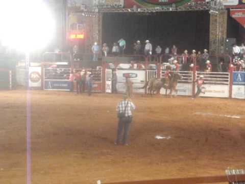 rodeio  de colorado 2011