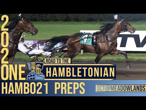 2021 M1 #Hambo21 Preps - Sonofamistery & Dancinginthedark M