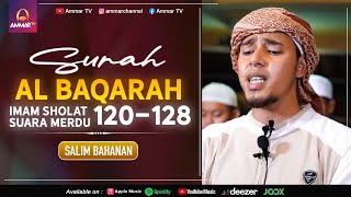 Download lagu SURAH AL BAQARAH AYAT 120-128 - BEAUTIFUL VOICE - SALIM BAHANAN mp3