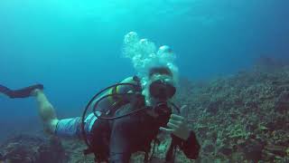 preview picture of video 'Kona Hawaii Dive Trip 7-12-2018'
