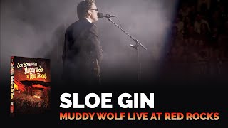 Joe Bonamassa - &quot;Sloe Gin&quot; - Muddy Wolf at Red Rocks