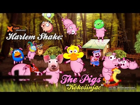 Harlem Shake The Pigs | Kokosinjac | Kokosvinjac | Chicken Coop