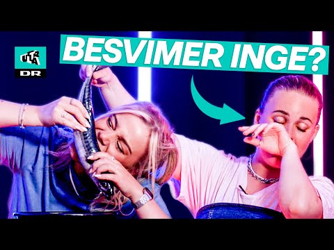 Her afslører vi TikToks VILDESTE løgne!