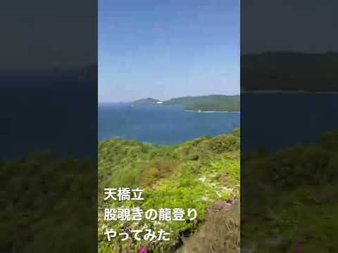 【※画面上下反転注意※】天橋立で股覗きの龍登りをやってみた