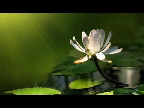 U vs. Olympus (Armin van Buuren Mashup)