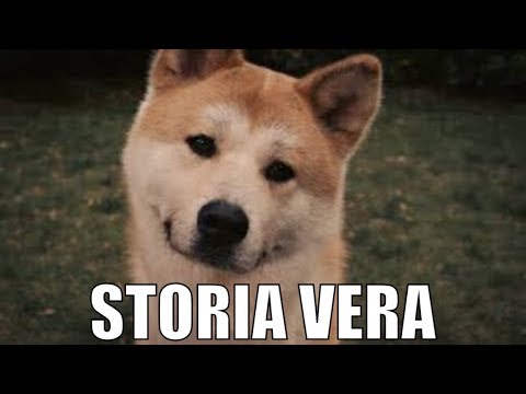 Metodo di trattamento dellosteoartrite Unguento sulla base di veleno di serpente per il trattamento dei giunti
