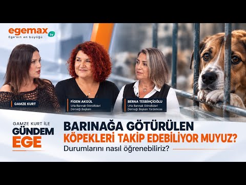 Sokak Hayvanlarını Beslemek Yasak Mı ? Gamze Kurt ile Gündem Ege 