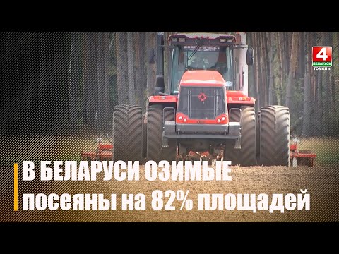 В Беларуси засеяны озимые на 82% площадей видео