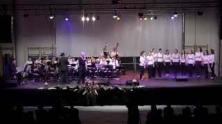 preview picture of video 'Humanitarni božićni koncert - Samobor 2013.'