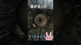 【Visage】巨大！目と目が合う！ #shorts