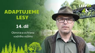 Adaptujeme lesy – 14. díl