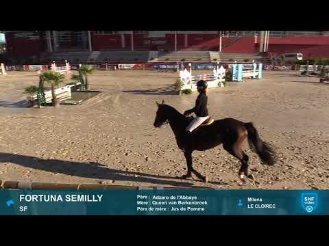 FORTUNA SEMILLY (Adzaro de l'Abbaye x Jus de Pomme) 5ans / 5YO