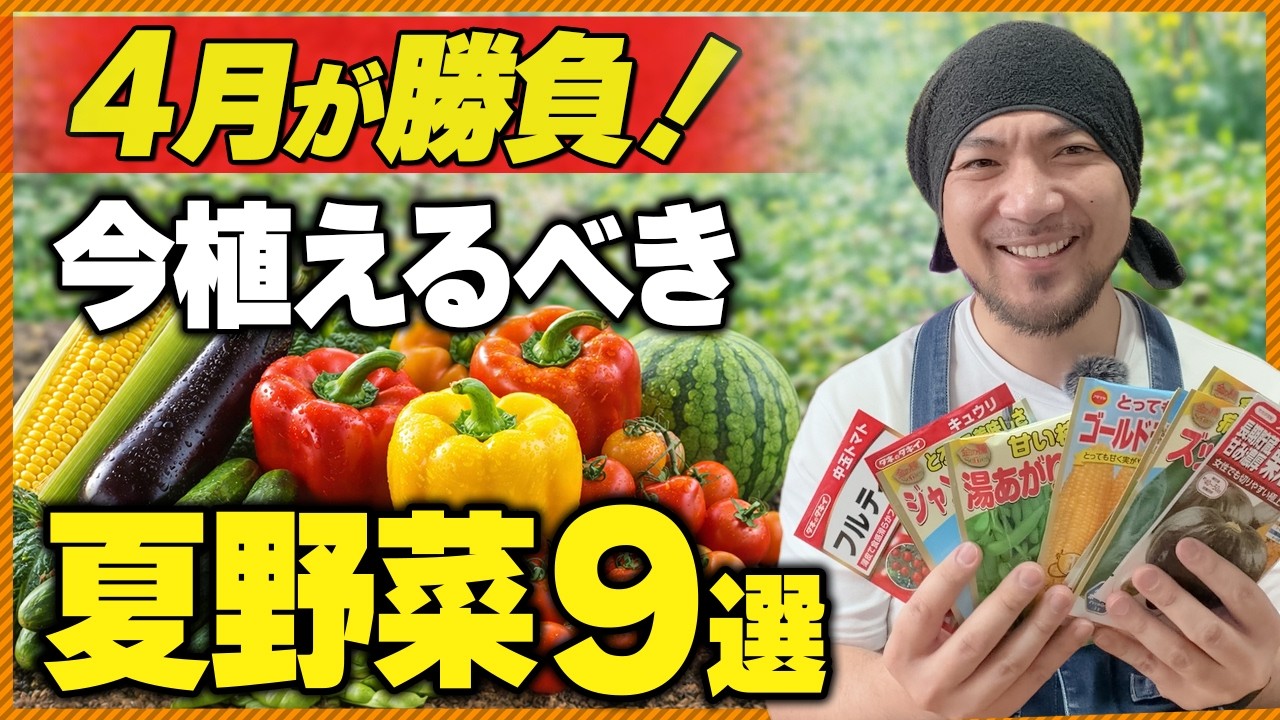【4月が勝負‼︎】5月では遅い！夏野菜9選 人気の定番野菜から贅沢野菜まで解説します‼︎