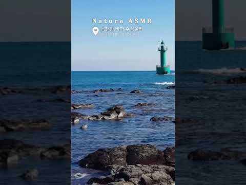 [경주의 소리] 듣기만 해도 마음이 뚫리는 경주 바다 주상절리 ASMRㅣ바다를담다편