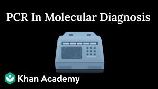 PCR in Molecular Diagnosis | Biotechnology and its Applications | Class XII | Biology | Khan Academy