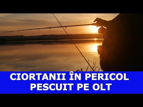PESCUIT LA OLT -BARAJUL IONEȘTI