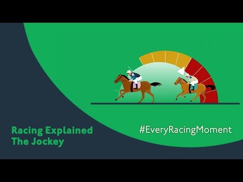 Horse Racing Ireland - Customer Success Story