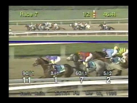 1996 Santa Anita Handicap