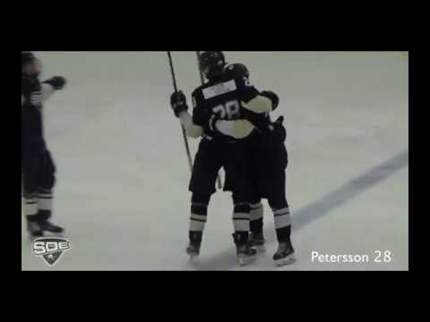 Linus Petersson | SDE - J18 Elit | Season 19/20 - highlight