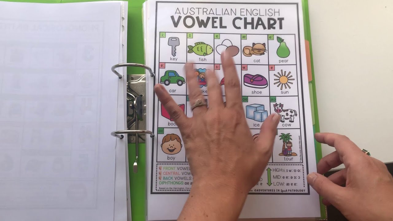 Speech Sound Disorder Charts & Posters BUNDLE