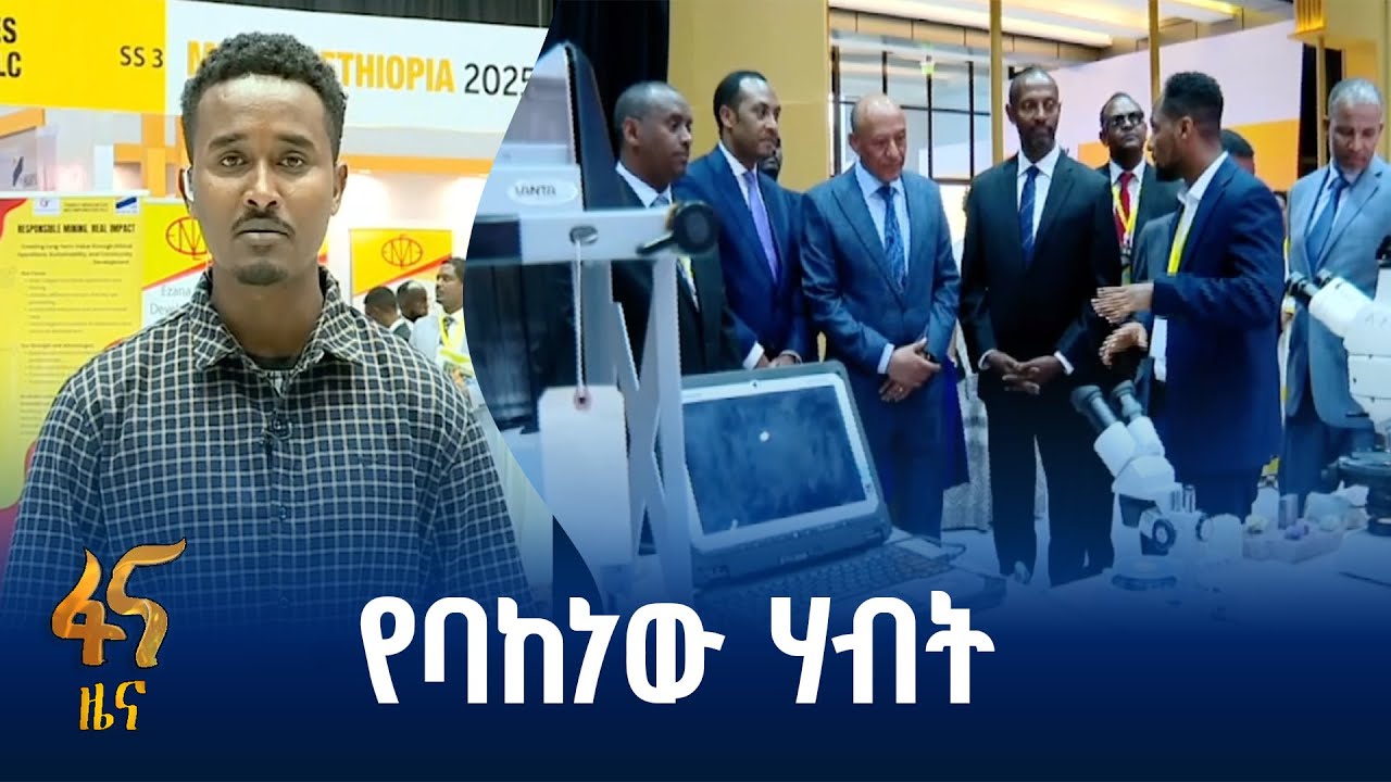 የማዕድን ዘርፉ ተግዳሮቶች