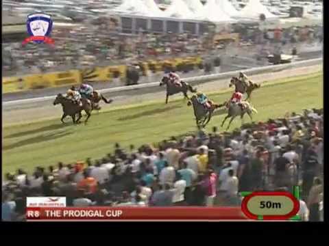 Season 2012 - Meeting 15 - Race 8 - Master Mascus - G. Faucon - iDates.mu - Turf Mauritius