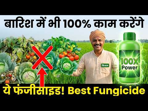बारिश में भी 100% काम करेंगे ये फंजीसाइड!