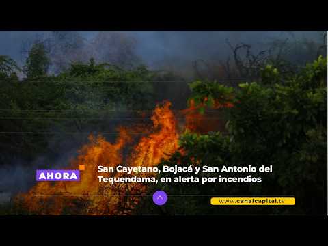 Cundinamarca mantiene alerta por incendios forestales en tres municipios | Medio ambiente